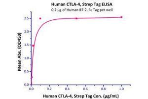 Immobilized Human B7-2, Fc Tag  with a linear range of 1-20 ng/mL. (CD86 Protein (CD86) (AA 26-247) (Fc Tag))