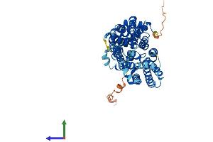 AlphaFold protein structure predicition of Human Recombinant SLC2A4 Protein, UniprotID P14672