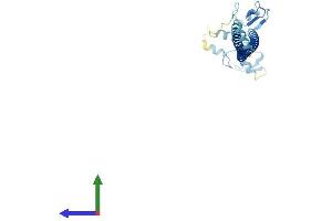 AlphaFold protein structure predicition of Human Recombinant TRIM74 Protein, UniprotID Q86UV6