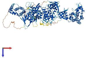 AlphaFold protein structure predicition of Human Recombinant JAK2 Protein, UniprotID O60674