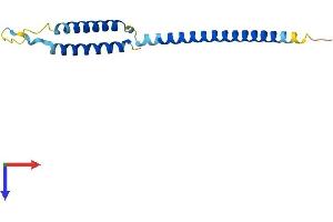 AlphaFold protein structure predicition of Human Recombinant MED21 Protein, UniprotID Q13503