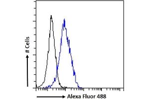 (ABIN185503) Flow cytometric analysis of paraformaldehyde fixed U2OS cells (blue line), permeabilized with 0. (BRSK2 anticorps  (Internal Region))
