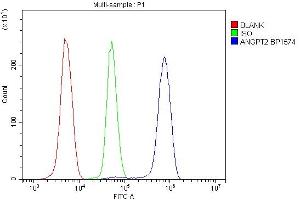 Flow Cytometry analysis of U937 cells using anti-ANGPT2 antibody (ABIN7601450). (Angiopoietin 2 anticorps  (AA 357-404))