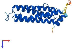 AlphaFold protein structure predicition of Mouse Recombinant Ftl2 Protein, UniprotID P49945