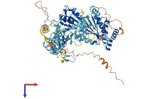 AlphaFold protein structure predicition of Mouse Recombinant Ercc3 Protein, UniprotID P49135