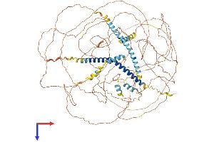 Mastermind-Like 1 (MAML1) (AA 1-1016) protein (His tag)