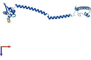 AlphaFold protein structure predicition of Mouse Recombinant Psmc3ip Protein, UniprotID O35047