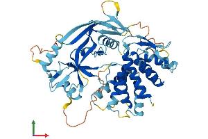 AlphaFold protein structure predicition of Mouse Recombinant Gsdma Protein, UniprotID Q9EST1