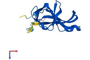 AlphaFold protein structure predicition of Human Recombinant YPEL3 Protein, UniprotID P61236