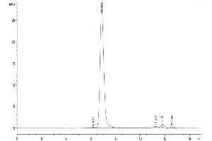 The purity of Human ITGAV&ITGB3 is greater than 95 % as determined by SEC-HPLC.
