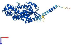 AlphaFold protein structure predicition of Human Recombinant GNA14 Protein, UniprotID O95837