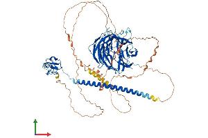 AlphaFold protein structure predicition of Human Recombinant RFWD3 Protein, UniprotID Q6PCD5