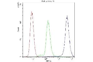 Flow Cytometry analysis of SiHa cells using anti-PPP1R12A antibody (ABIN3043902). (PPP1R12A anticorps  (N-Term))