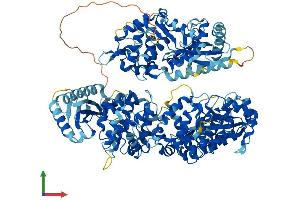 AlphaFold protein structure predicition of Human Recombinant OAS3 Protein, UniprotID Q9Y6K5