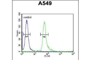 TAG Antibody (Center) 10962c flow cytometric analysis of A549 cells (right histogram) compared to a negative control cell (left histogram).