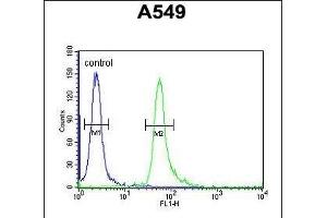 TAG Antibody (Center) 10962c flow cytometric analysis of A549 cells (right histogram) compared to a negative control cell (left histogram). (TAGAP anticorps  (AA 103-129))