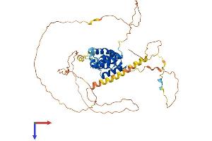 AlphaFold protein structure predicition of Human Recombinant POU3F1 Protein, UniprotID Q03052