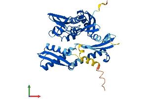 AlphaFold protein structure predicition of Human Recombinant HSPA7 Protein, UniprotID P48741