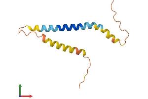 AlphaFold protein structure predicition of Mouse Recombinant Rprm Protein, UniprotID Q9JJ72