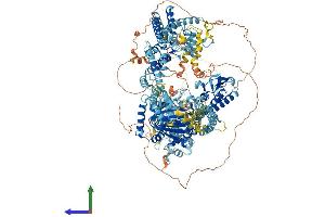 AlphaFold protein structure predicition of Human Recombinant KDM5C Protein, UniprotID P41229
