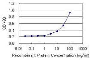 Sandwich ELISA detection sensitivity ranging from 3 ng/mL to 100 ng/mL. (HDAC3 (Humain) Matched Antibody Pair)