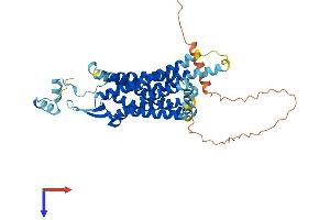 Pyroglutamylated RFamide Peptide Receptor (QRFPR) (AA 1-431) protein (His tag)