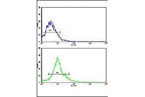 Flow cytometric analysis of HepG2 cells using AMFR antibody (green) compared to a negative control cell (blue).