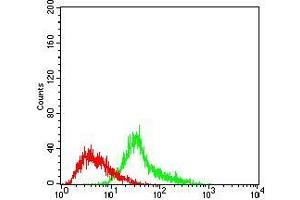 Flow cytometric analysis of Hela cells using MEN1 mouse mAb (green) and negative control (red).