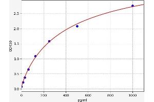 Interleukin 17B (IL17B) ELISA Kit