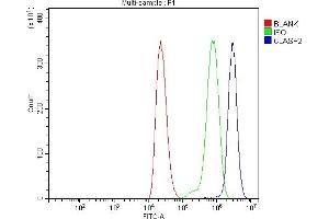 Flow Cytometry analysis of THP-1 cells using anti-CLASP2 antibody (ABIN7600981).