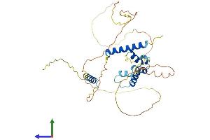 AlphaFold protein structure predicition of Mouse Recombinant Caap1 Protein, UniprotID Q8VDY9
