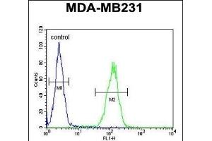 PRB2 Antibody (C-term) (ABIN6244055 and ABIN6578967) flow cytometric analysis of MDA-M cells (right histogram) compared to a negative control cell (left histogram). (PRB2 anticorps  (C-Term))