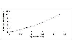 Typical standard curve (DDAH1 Kit ELISA)