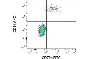 Flow cytometry multicolor surface staining pattern of human lymphocytes using anti-human CD19 (LT19) APC antibody (10 μL reagent / 100 μL of peripheral whole blood) and anti-human CD79b (CB3-1) FITC antibody (4 μL reagent / 100 μL of peripheral whole blood). (CD79b anticorps  (FITC))