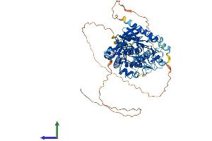 AlphaFold protein structure predicition of Mouse Recombinant Adad1 Protein, UniprotID Q5SUE7