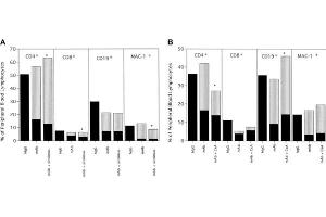 Anti-CD40L mAb alone or in combination with (A) sirolimus or (B) CsA results in long-term multilineage engraftment.