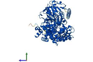 AlphaFold protein structure predicition of Mouse Recombinant Ehhadh Protein, UniprotID Q9DBM2