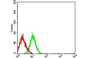 Flow cytometric analysis of HL-60 cells using CD64 mouse mAb (green) and negative control (red).