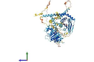 AlphaFold protein structure predicition of Mouse Recombinant Ddx27 Protein, UniprotID Q921N6