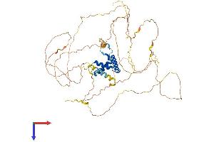 AlphaFold protein structure predicition of Mouse Recombinant Tcf7l1 Protein, UniprotID Q9Z1J1