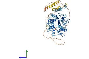 AlphaFold protein structure predicition of Human Recombinant ZNF846 Protein, UniprotID Q147U1