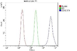 Flow Cytometry analysis of A431 cells using anti- DDX5 antibody (ABIN7602561). (DDX5 anticorps  (AA 85-328))