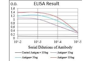 Black line: Control Antigen (100 ng), Purple line: Antigen(10 ng), Blue line: Antigen (50 ng), Red line: Antigen (100 ng), (EpCAM anticorps  (AA 24-265))
