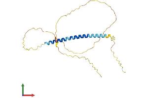 AlphaFold protein structure predicition of Human Recombinant TCEAL2 Protein, UniprotID Q9H3H9