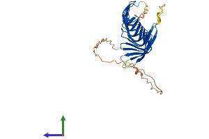 AlphaFold protein structure predicition of Mouse Recombinant Rsph1 Protein, UniprotID Q8VIG3