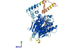 AlphaFold protein structure predicition of Human Recombinant POLA2 Protein, UniprotID Q14181