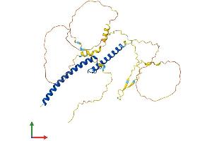 AlphaFold protein structure predicition of Mouse Recombinant Mycl Protein, UniprotID P10166