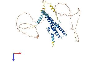 AlphaFold protein structure predicition of Human Recombinant ING3 Protein, UniprotID Q9NXR8