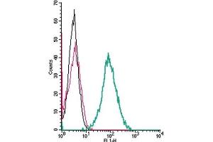 Cell surface detection of RAMP1 by indirect flow cytometry in live intact mouse J774 macrophage cells:(black line) Cells.