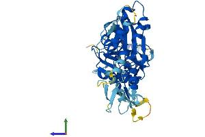 AlphaFold protein structure predicition of Human Recombinant ACTL8 Protein, UniprotID Q9H568